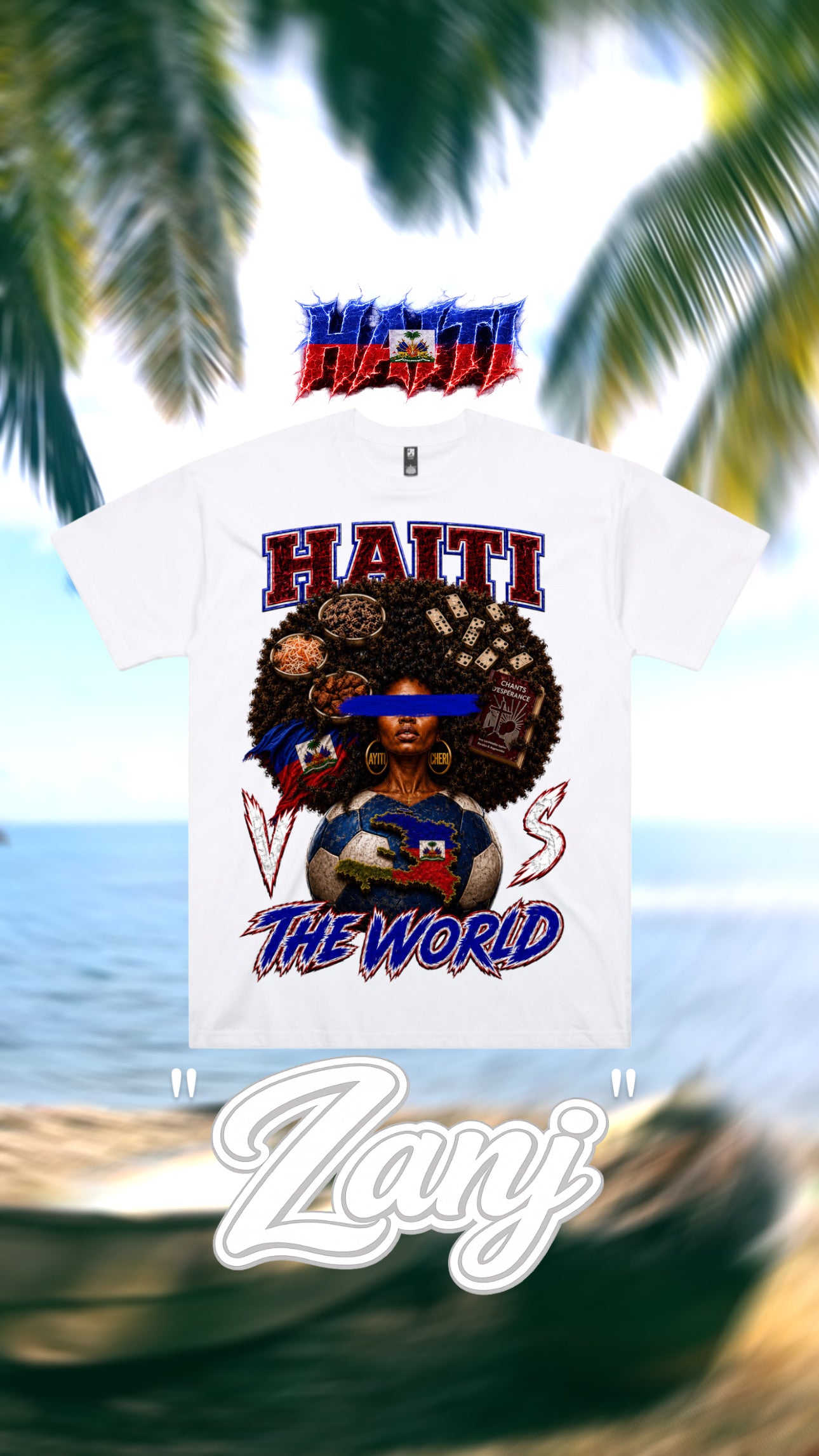 HAITI VS THE WORLD™ Premium Heavyweight Oversized Boxy Graphic Tee